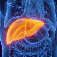 Fatty liver, Jaundice