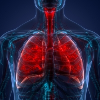 Swine Flu, Covid & Viral Lung Infections